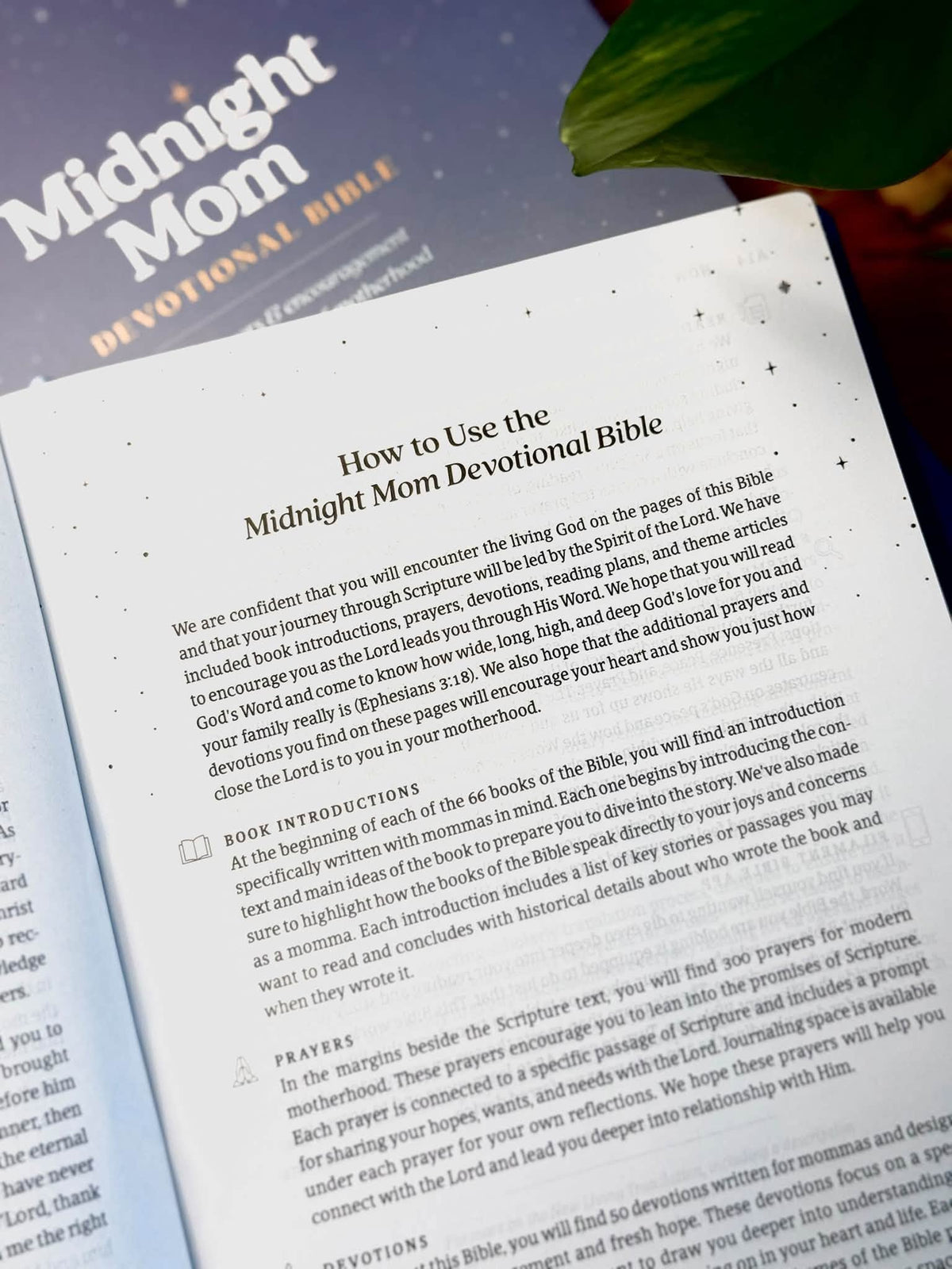 Midnight Mom Devotional Bible - Hardcover